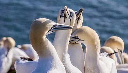 亿万28-科曼不满裁判判罚 齐达内：不太喜欢有人抱怨裁判