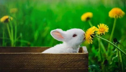 亿万28-科曼不满裁判判罚 齐达内:不太喜欢有人抱怨裁判